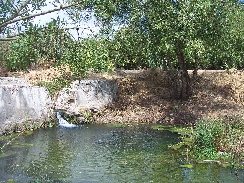 El riu Gaià, un espai recuperat per a la tortuga de rierol