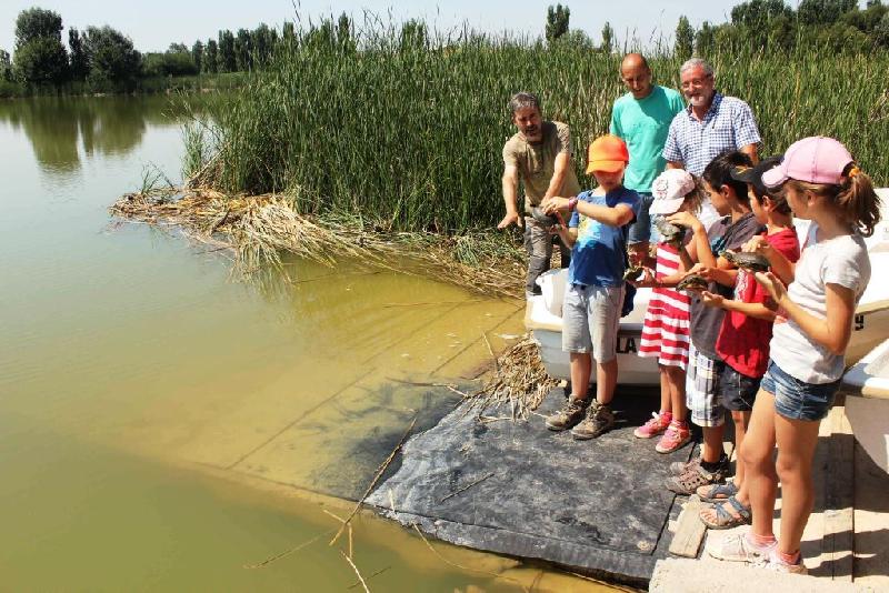 Infants alliberant tortugues d'estany a Ivars i Vila Sana